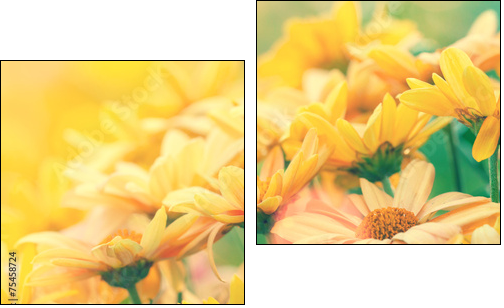 Vintage flower lawn for background  - Obraz dwuczęściowy, Dyptyk