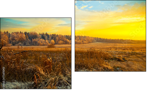 Field, forest, dry grass - beautiful landscape at sunset  - Obraz dwuczęściowy, Dyptyk