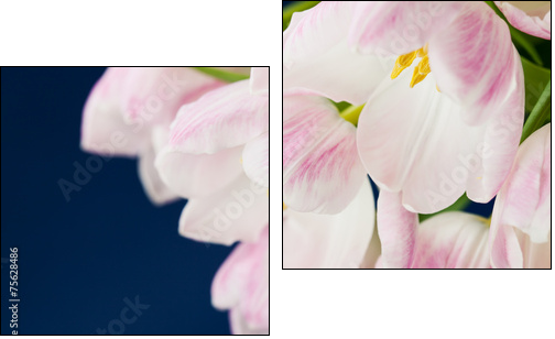 Pink tulips in vase on dark blue background  - Obraz dwuczęściowy, Dyptyk