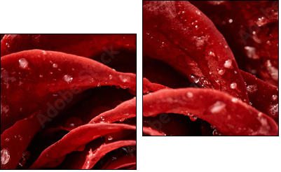 Red rose  - Obraz dwuczęściowy, Dyptyk