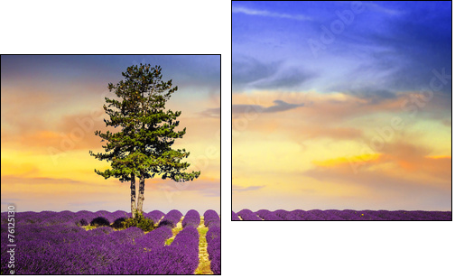 LAVENDER IN SOUTH OF FRANCE  - Obraz dwuczęściowy, Dyptyk