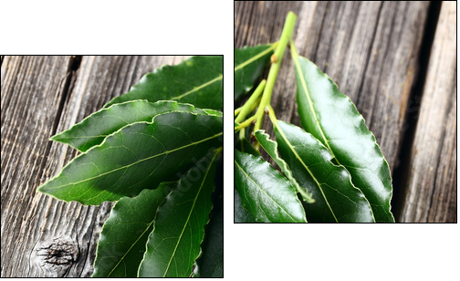 Laurel leaves on a wooden background  - Obraz dwuczęściowy, Dyptyk