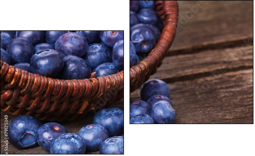 Heidelbeeren, Blaubeeren  - Obraz dwuczęściowy, Dyptyk