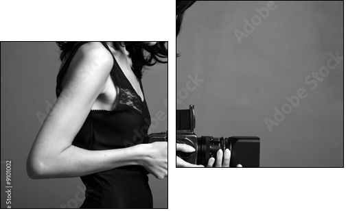Pani fotograf przy pracy – portret
 - Obraz dwuczęściowy, Dyptyk