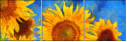 108425376