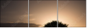 12824329