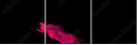 130915935