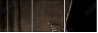 13267371