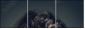 137653547