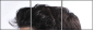 143750770