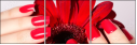 146855872