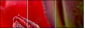 15487800