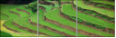 15713254