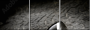 16438072