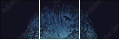 164648563
