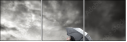 16975398