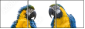 18738718