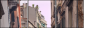 20333502