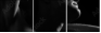 20350082