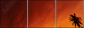 20708520