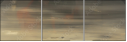 21155951