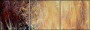 21581087