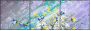21607065