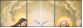 21652544