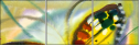 21683658