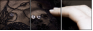 21991281