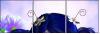 22659722