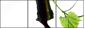 22748445