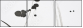 23695176