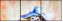 24495257