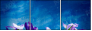 249730