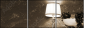 25666505