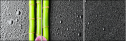 26606581
