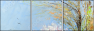 26973707