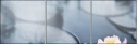 27192905