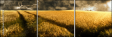 27477176