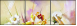 27880499