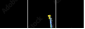29381007