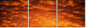 29892519