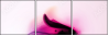 31395557
