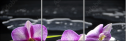34084516