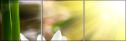 34213537