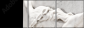 35037563