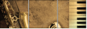 36435331