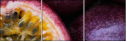 36705995