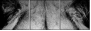 39012933